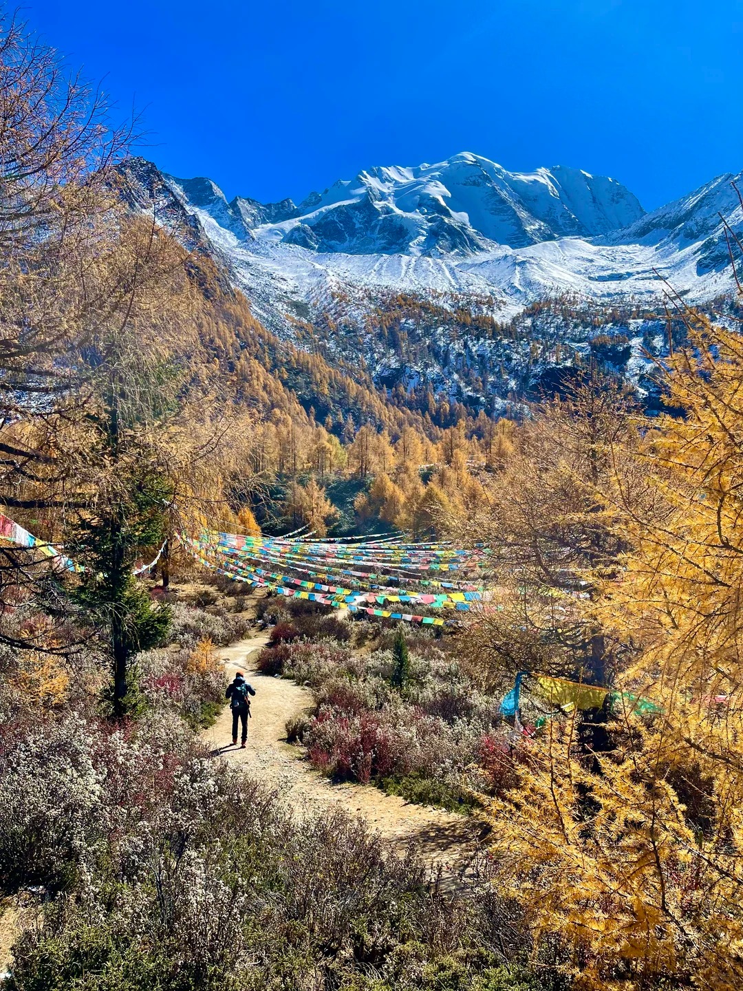 亚拉雪山